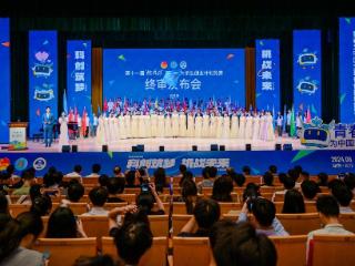 湖南信息学院在“挑战杯”竞赛中获佳绩