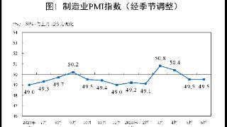 国家统计局：6月份中国制造业采购经理指数为49.5% 与上月持平