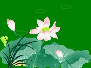 6月30日最佳情报|大明湖荷花朵朵开，五龙潭戏水享清凉！恭喜