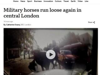 英国皇家骑兵队马匹受惊失控 在伦敦街头狂奔(图)