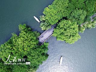 浙江杭州：西湖暑期旅游人气旺