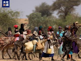 联合国难民署：对苏丹难民的援助计划扩展至非洲7个国家