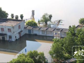 长江水位继续上涨 原池州港客轮码头区域受淹