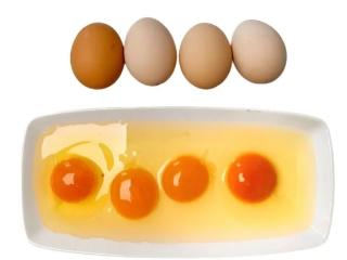 蛋黄颜色越深，营养就越高？真相看这里