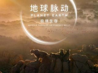 《地球脉动：极境生存》定档，《地球脉动》系列IP首部大电影
