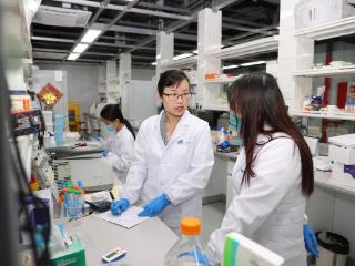 深圳湾实验室彭琴课题组：用行动践行科技创新的巾帼力量