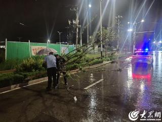 潍坊交警巡逻见树枝散落 雨中迅速清理确保安全