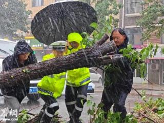 潍有正能量丨潍坊临朐交警冒雨清障，温情之举赢百姓赞誉
