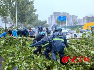 东明县迅速响应应对龙卷风极端天气 全力开展灾后救援