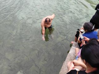 广西天峨县居民耍水与鱼儿同游，“长寿之乡”的秘密是环境好？官方回应