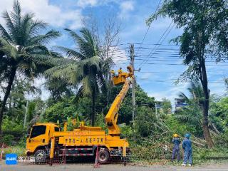台风“派比安”致部分供电线路受损 海南电网抢修复电