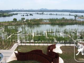 淮南春申湖：昔日采煤沉陷区，今变生态湿地公园