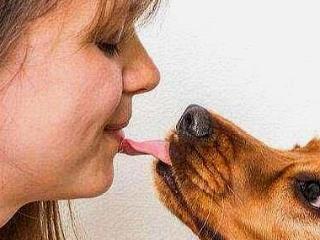 狗狗总是喜欢舔人，它们除了爱你之外，真相实在是太扎心了