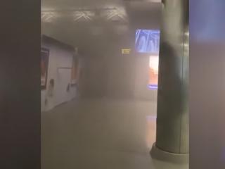 美国一机场自动扶梯起火：现场浓烟滚滚 9人受伤近千人被疏散