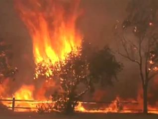 高温干旱致美国西部多地发生林火
