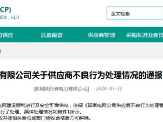 因违法转包，山东联合电力被国网陕西省电力公司列入黑名单1年