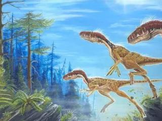 我国古生物学家发现暴龙类恐龙的新属种