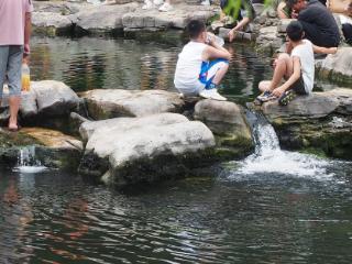 台风“格美”带来降雨，济南泉水喝了个水饱