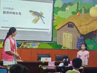 鹤溪社区暑托班：科学探索，揭秘勤劳的啄木鸟