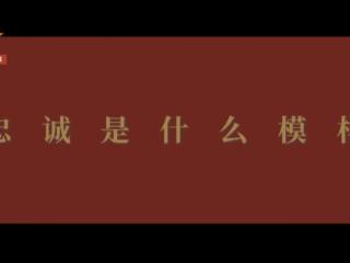 忠诚是什么模样？这是他们的答案！