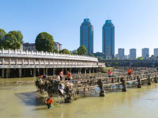 重庆南川区：强降雨致凤嘴江城区段水位上涨，环卫工人清淤保畅通