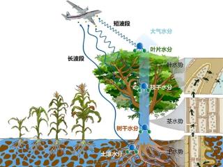 国际首次！中国航空遥感系统试验成功