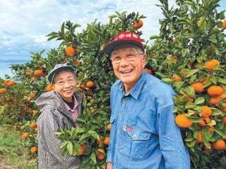 柑橘联结跨国缘（我和中国的故事）