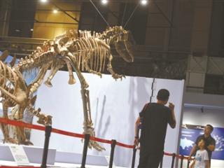 60余件化石标本揭秘剑龙起源