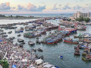 广西北海：“开海”捕捞获丰收 渔港码头交易忙