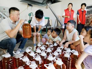 河北肃宁：研学实践让学子乐享夏日学习之旅