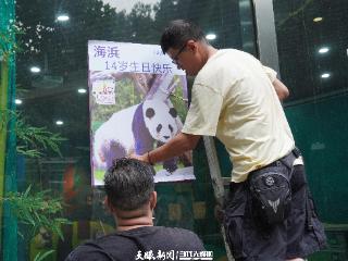 黔灵公园为大熊猫“星宝”和“海浜”过生日啦！