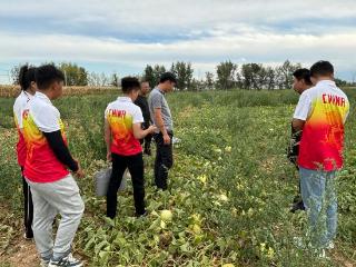 将青春写在祖国大地|山东科技职业学院志愿服务团队走进阿勒泰