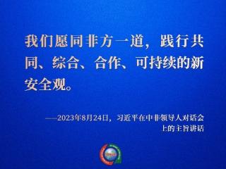 镜观·回响｜和平安全合作，支持非洲实现长治久安与和平繁荣