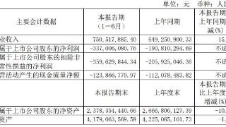 杰华特上半年增亏 2022上市募22亿中信证券保荐