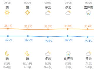 晴热回归浙江 秋老虎“归山”或在9月中旬