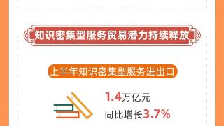 数读中国丨从阶段性数据看全年 我国服务贸易发展稳中向好