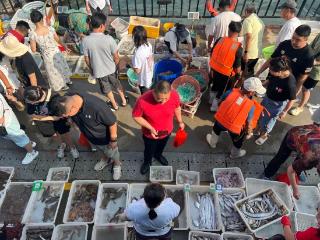 海螺、梭子蟹、皮皮虾……开海后，威海海鲜上新！最新价格来了！