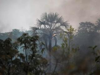 高温干旱持续 巴西多地进入低湿度红色紧急状态