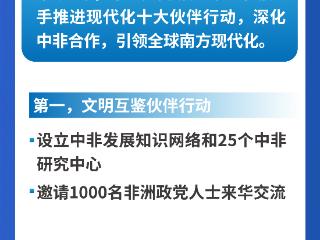 习言道｜中非携手推进现代化，习近平宣布“十大伙伴行动”