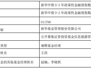 新华中债0-3年政策性金融债指数增聘基金经理王滨