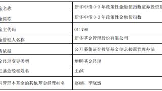 新华中债0-3年政策性金融债指数增聘基金经理王滨