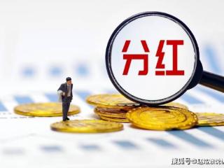 中国人寿总裁利明光：上市以来，累计现金分红超2000亿元