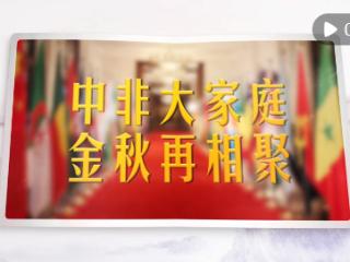 视频画报｜中非大家庭 金秋再相聚