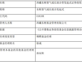 东财景气成长混合发起式增聘徐成 成立17个月亏损27%