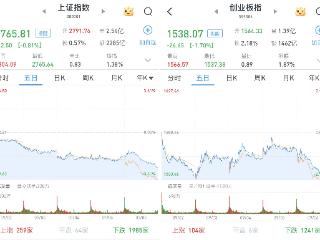 沪指冲高回落收跌0.81%，券商、银行等金融股逆市飘红