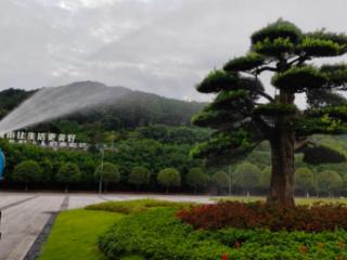 沙坪坝区城市管理局：多措并举抗旱保苗 全力守护城市绿意