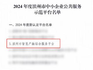 滨州市智慧产融综合服务平台入选滨州市中小企业公共服务示范平台