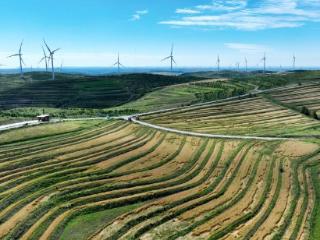 河北张北：阡陌纵横 “丰”景如画