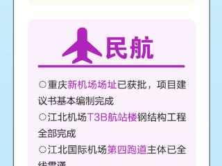 改革奋进正当时丨数说西部陆海新通道，前7月运输货值同比增长84%