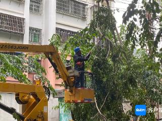 昌江电力部门全力抢修受损线路 保障群众正常用电